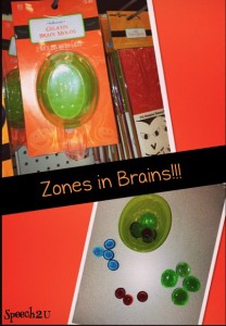 Zones in brains-41-09_PM