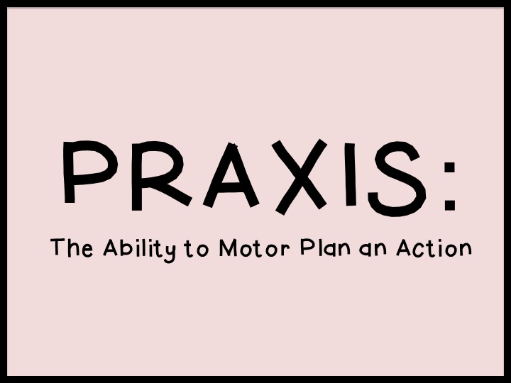 Praxis: It’s not just a test you take after school